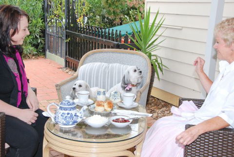 Must Love Dogs B&B And Self-Contained Cottage - Coogee Beach Accommodation 2