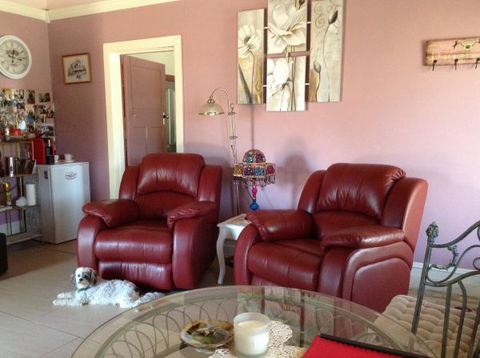 Must Love Dogs B&B And Self-Contained Cottage - Coogee Beach Accommodation 7