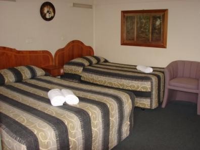 Ardeanal Motel - Coogee Beach Accommodation 4