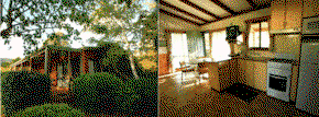 Bright Pine Valley Tourist Park - Coogee Beach Accommodation 1