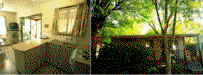 Bright Pine Valley Tourist Park - Coogee Beach Accommodation 2