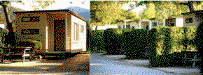 Bright Pine Valley Tourist Park - Coogee Beach Accommodation 3