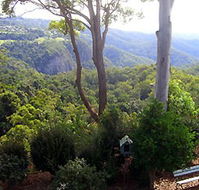 Mt Tamborine Motel - Coogee Beach Accommodation