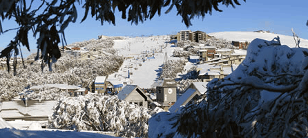 Alpine Ridge Lodge - Coogee Beach Accommodation 0