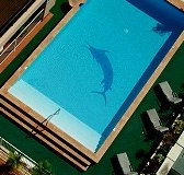 Pacific International Hotel - Coogee Beach Accommodation