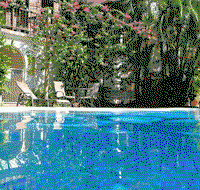 Tranquility Palm Cove - Coogee Beach Accommodation