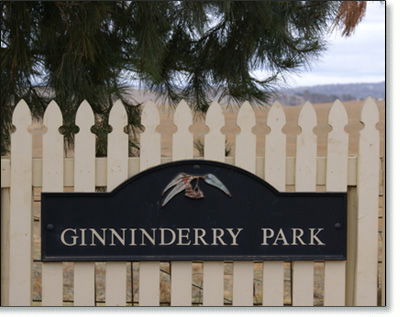 Ginninderry Homestead - Coogee Beach Accommodation 1