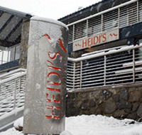 Heidi's Chalet Apartments - Coogee Beach Accommodation