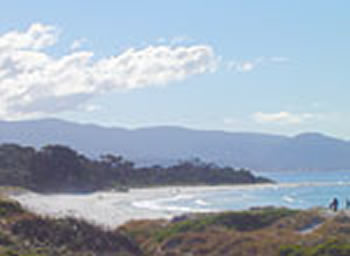 Bicheno On The Beach - Coogee Beach Accommodation 5