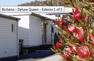 Bicheno Cabins And Tourist Park - Coogee Beach Accommodation 2