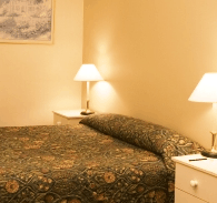 Best Western Abel Tasman Airport Motor Inn - Coogee Beach Accommodation