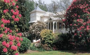Anabel's of Scottsdale - Coogee Beach Accommodation