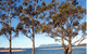Island View Motel - thumb 3