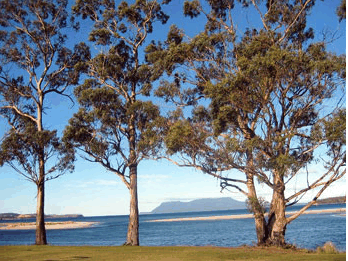 Island View Motel - Coogee Beach Accommodation 3