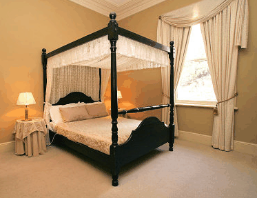 Waratah On York - Coogee Beach Accommodation 1