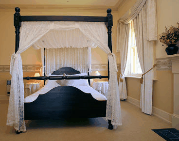 Waratah On York - Coogee Beach Accommodation 2