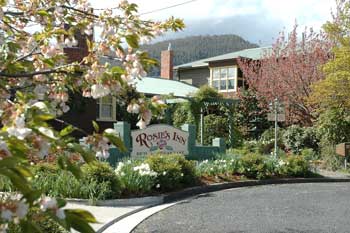 Rosie's Inn - Coogee Beach Accommodation 0