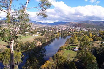 Rosie's Inn - Coogee Beach Accommodation 2