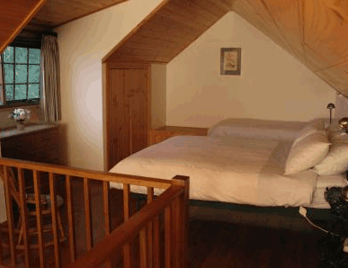 Daisy Bank Cottages - Coogee Beach Accommodation 1
