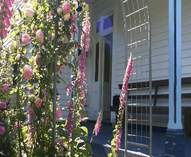 Devonport Bed And Breakfast - Coogee Beach Accommodation 0