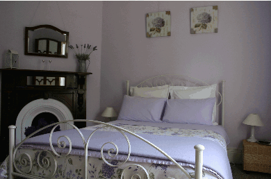 Devonport Bed And Breakfast - Coogee Beach Accommodation 1