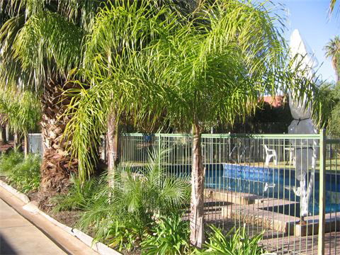 Orana Motor Inn - Coogee Beach Accommodation 8