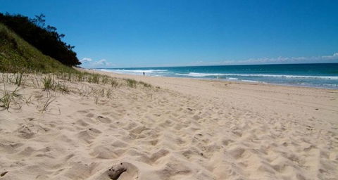 Carrington Court - Coogee Beach Accommodation 3