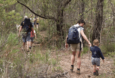 Bicheno East Coast Holiday Park - Coogee Beach Accommodation 3