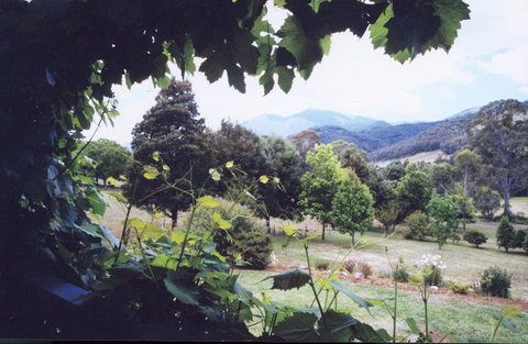 Springfield Cottage Bed & Breakfast - Coogee Beach Accommodation 1