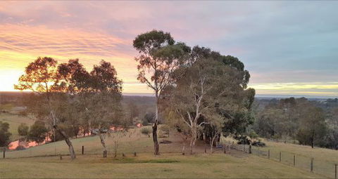Blueberry Hills On Comleroy - Coogee Beach Accommodation 9