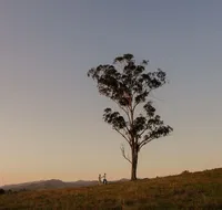 Faulls Ridge Winery - Coogee Beach Accommodation