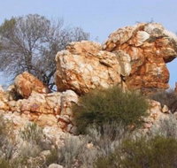 Credo Homestead Camp at Credo Conservation Park - Coogee Beach Accommodation