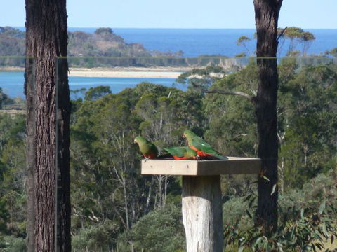 Indigo Couples Retreat Murrah Beach - Coogee Beach Accommodation 8