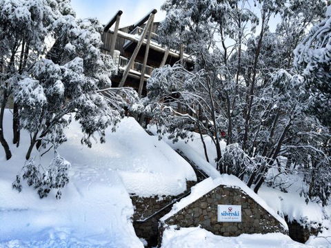 Silverski Falls Creek - Coogee Beach Accommodation 0