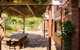 Barossa Barn Bed And Breakfast - thumb 9