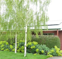 Birralee Cottage - Coogee Beach Accommodation