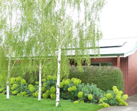 Birralee Cottage - Coogee Beach Accommodation 0