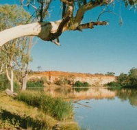 Border Cliffs River Retreat - Coogee Beach Accommodation