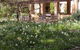 Garden Pavillion Bed And Breakfast At AL RU Farm - thumb 2