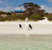 Kangaroo Island Star Beach House - Coogee Beach Accommodation