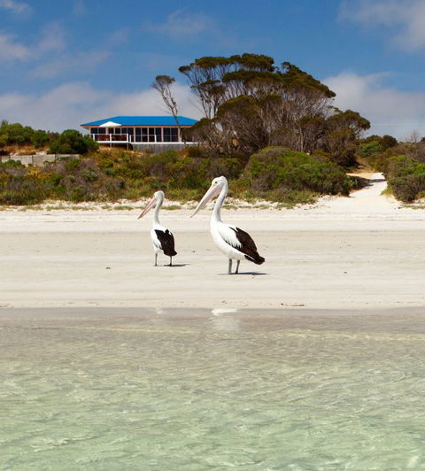 Kangaroo Island Star Beach House - Coogee Beach Accommodation 0