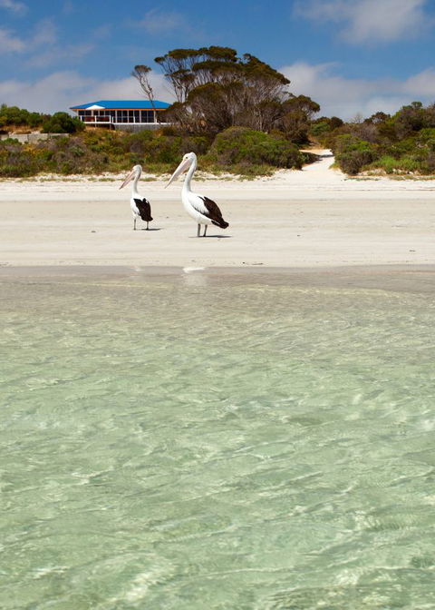 Kangaroo Island Star Beach House - Coogee Beach Accommodation 4