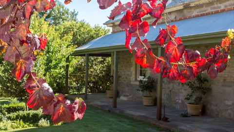 Grand Cru Estate Homestead - Coogee Beach Accommodation 0