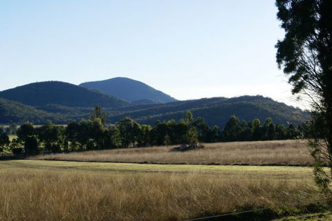 Baerami Pines Hunter Valley Retreat - Coogee Beach Accommodation 7