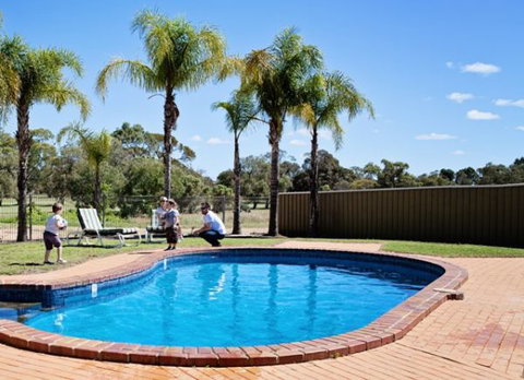 Barmera Country Club Motor Inn - Coogee Beach Accommodation 3