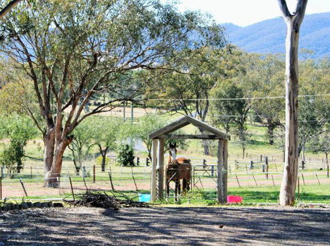 BelleBrook - Coogee Beach Accommodation 1