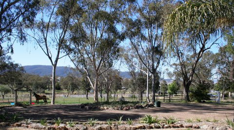 BelleBrook - Coogee Beach Accommodation 2