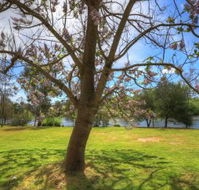 Breakaway Twin Rivers Caravan Park - Coogee Beach Accommodation