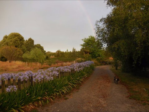 Bunjil Farm - Coogee Beach Accommodation 5