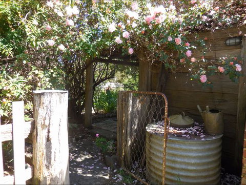 Bunjil Farm - Coogee Beach Accommodation 7